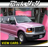 Pink 4x4 16 Seater